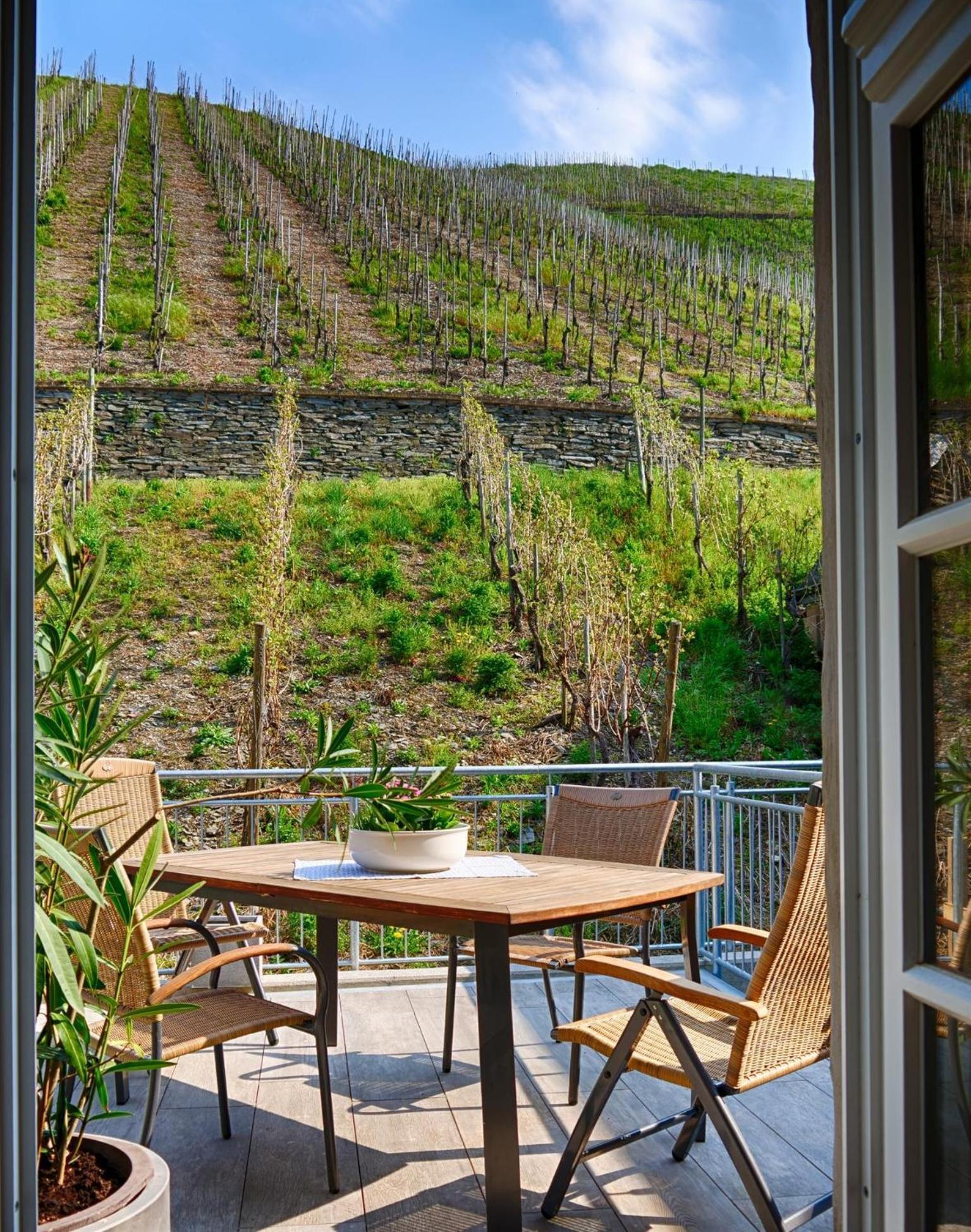 Altes Loerscher Winzerhaus Mehring  Buitenkant foto